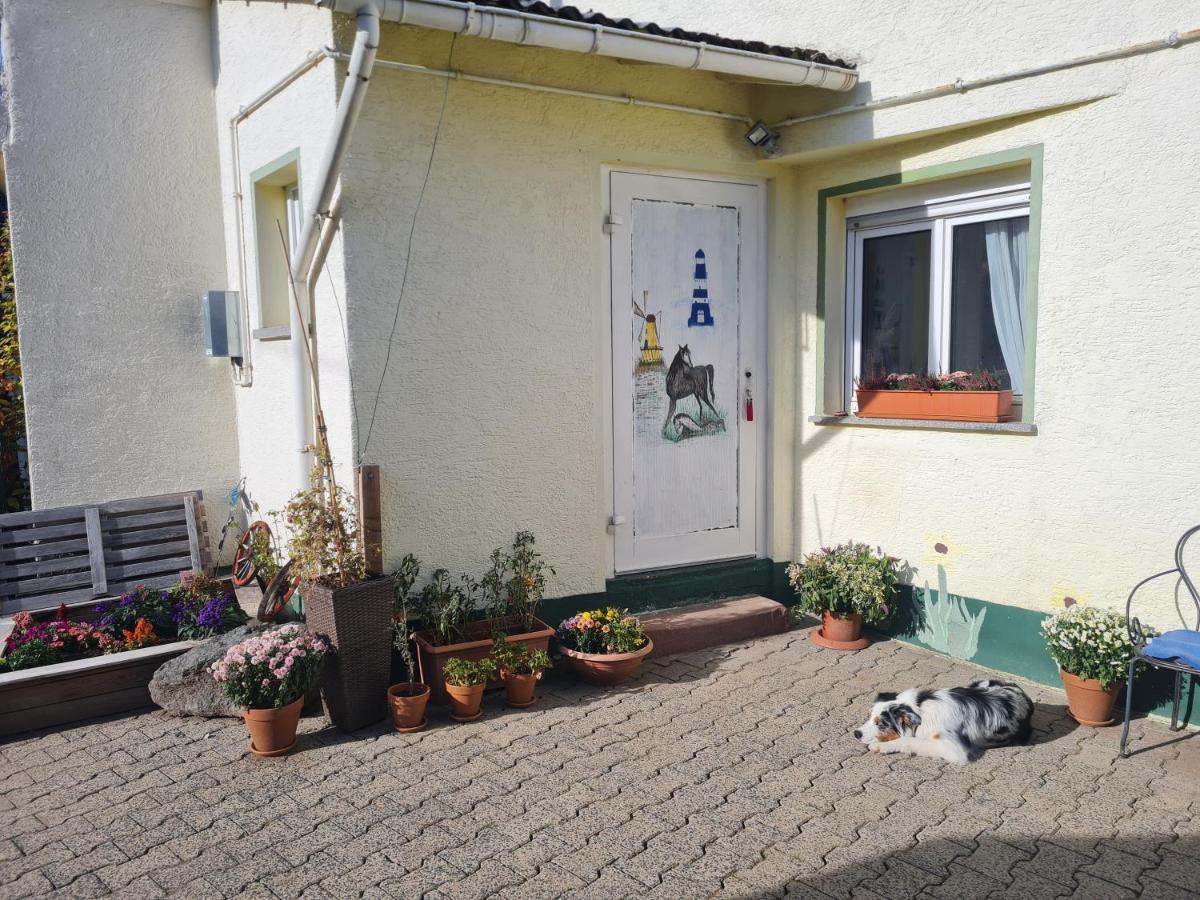 Ferienwohnung Im Wispertaunus Dickschied Kültér fotó
